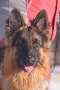 4AXEL