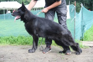 Duglas1.3mes