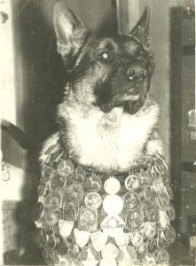 radjik
