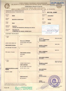 Родословная NAISI