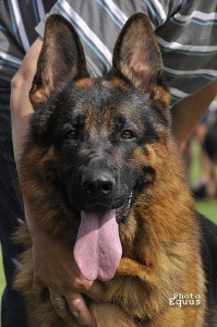 KANYON_HEAD