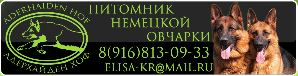Главная